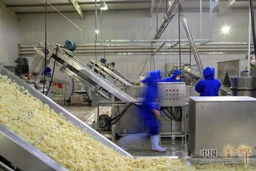 招商引资,金乡近期又成功签约6个项目